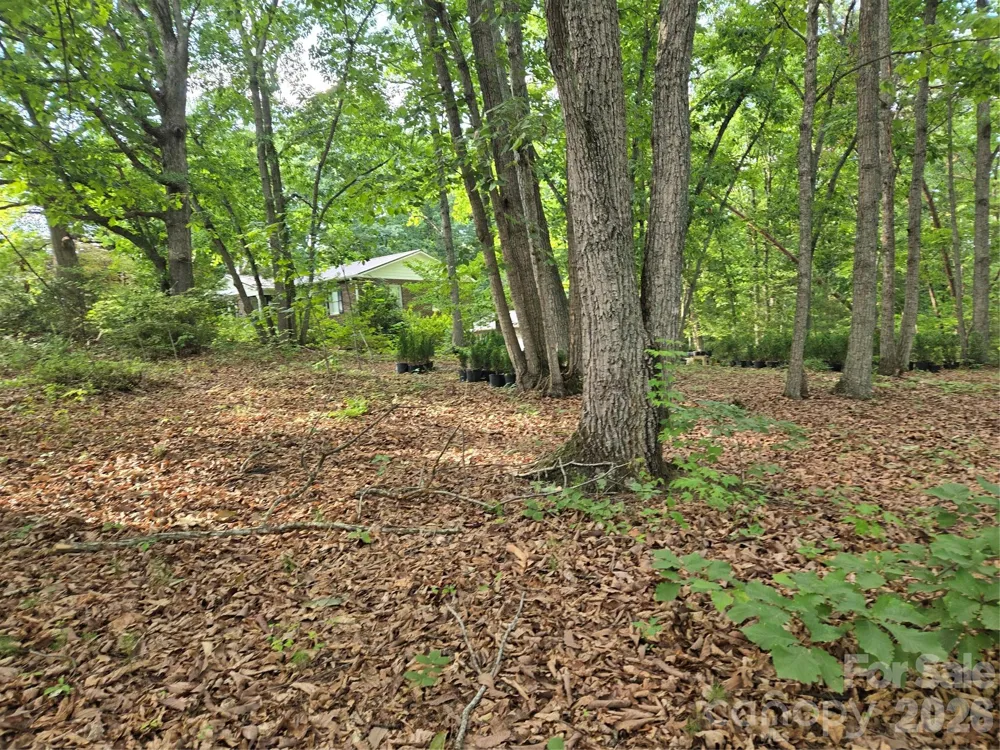1236 Smithfield Drive Hudson, NC 28638