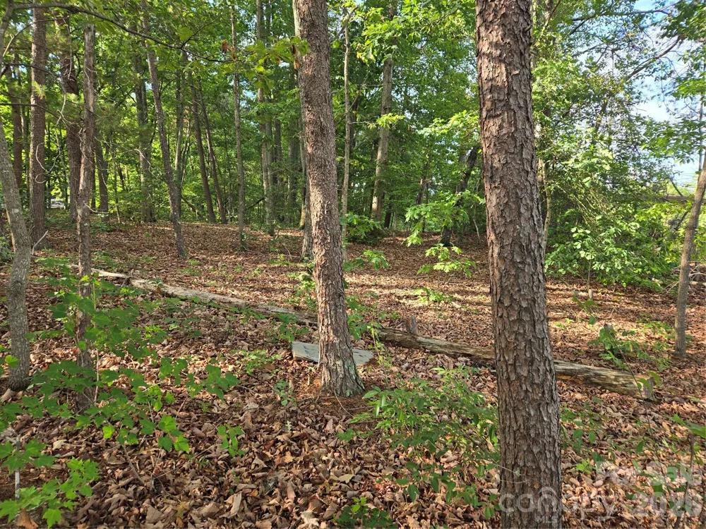 1236 Smithfield Drive Hudson, NC 28638