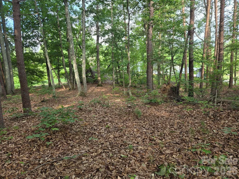 1236 Smithfield Drive Hudson, NC 28638