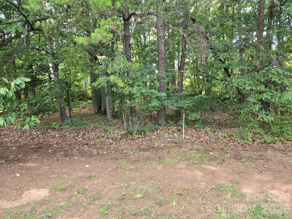1236 Smithfield Drive Hudson, NC 28638