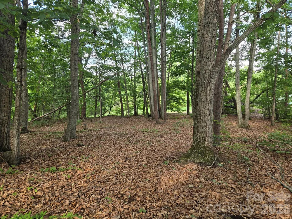 1236 Smithfield Drive Hudson, NC 28638
