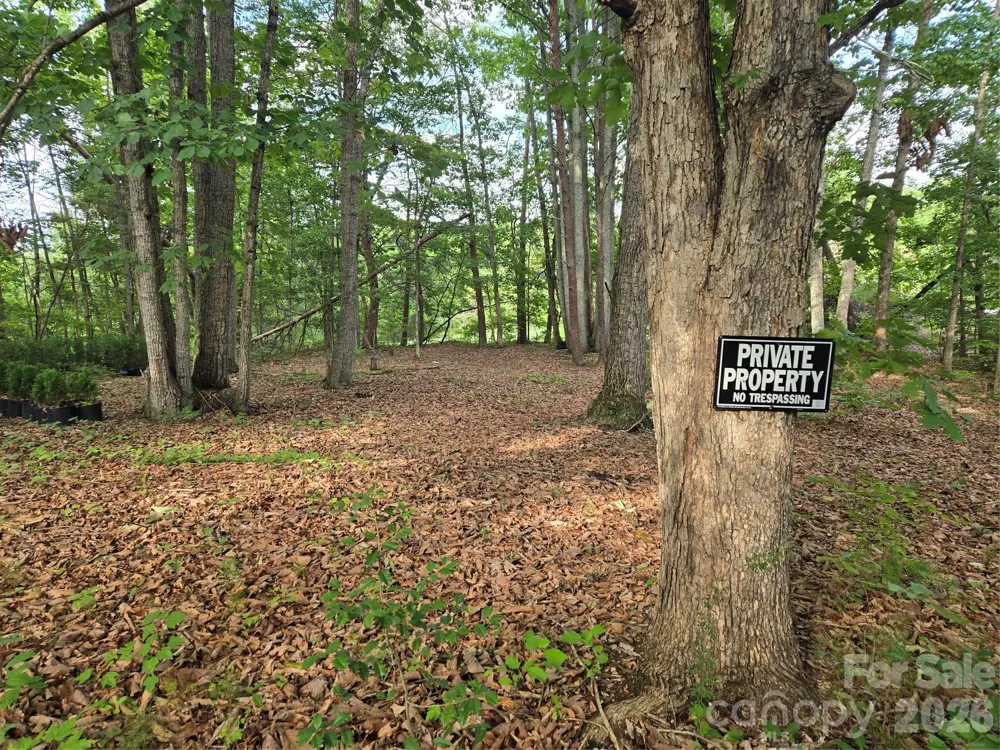 1236 Smithfield Drive Hudson, NC 28638