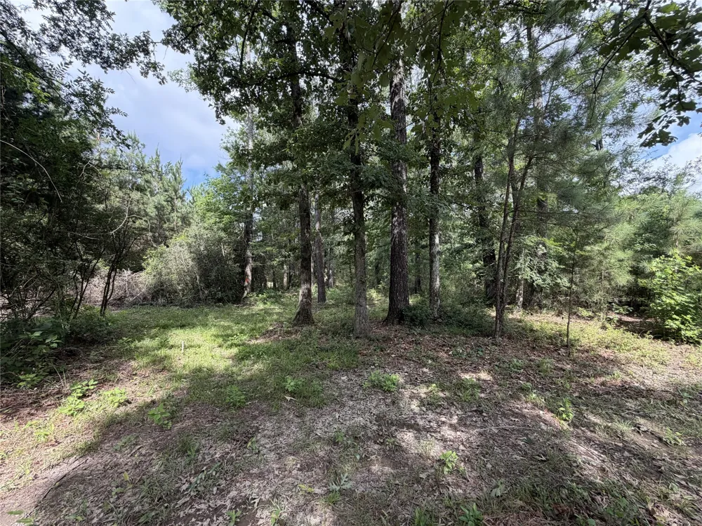 6572 S FM 31 Carthage, TX 75633