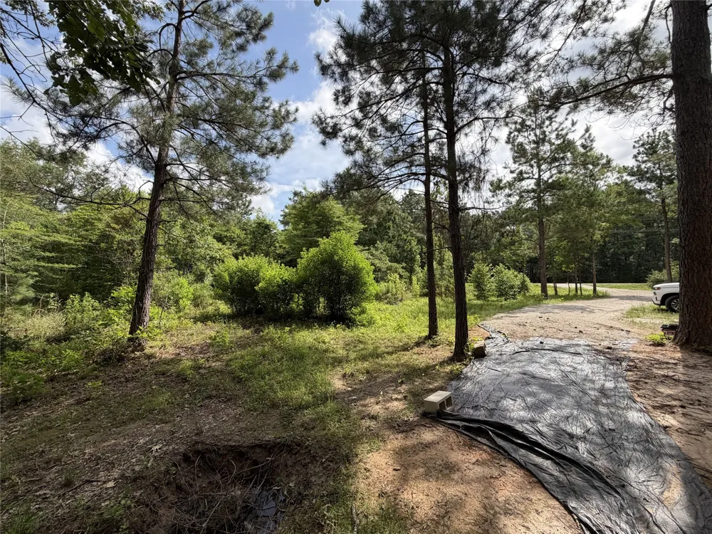 6572 S FM 31 Carthage, TX 75633