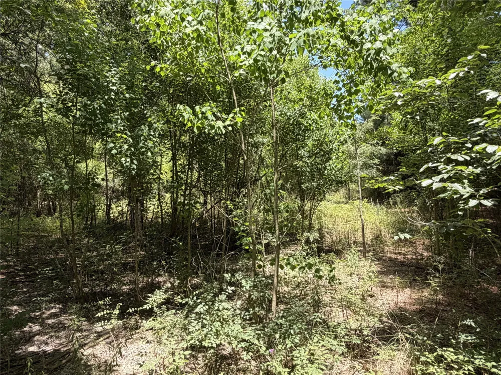 6572 S FM 31 Carthage, TX 75633