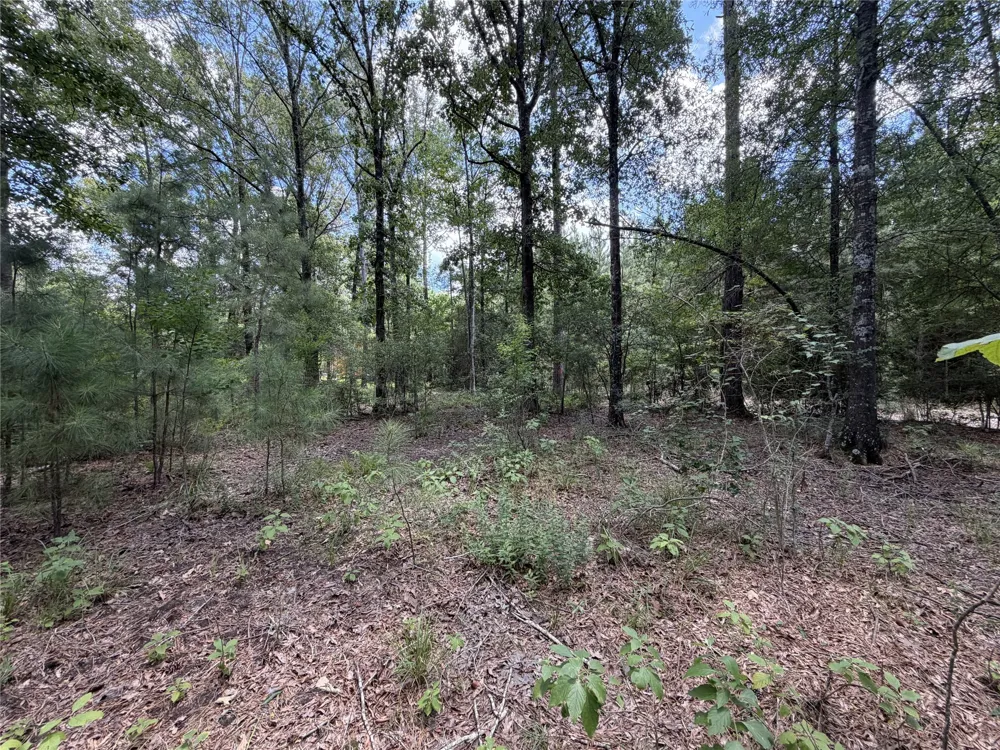 6572 S FM 31 Carthage, TX 75633