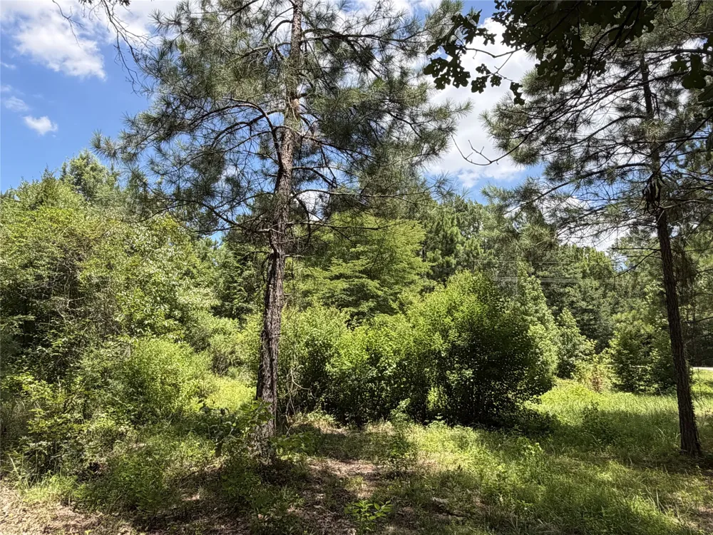 6572 S FM 31 Carthage, TX 75633