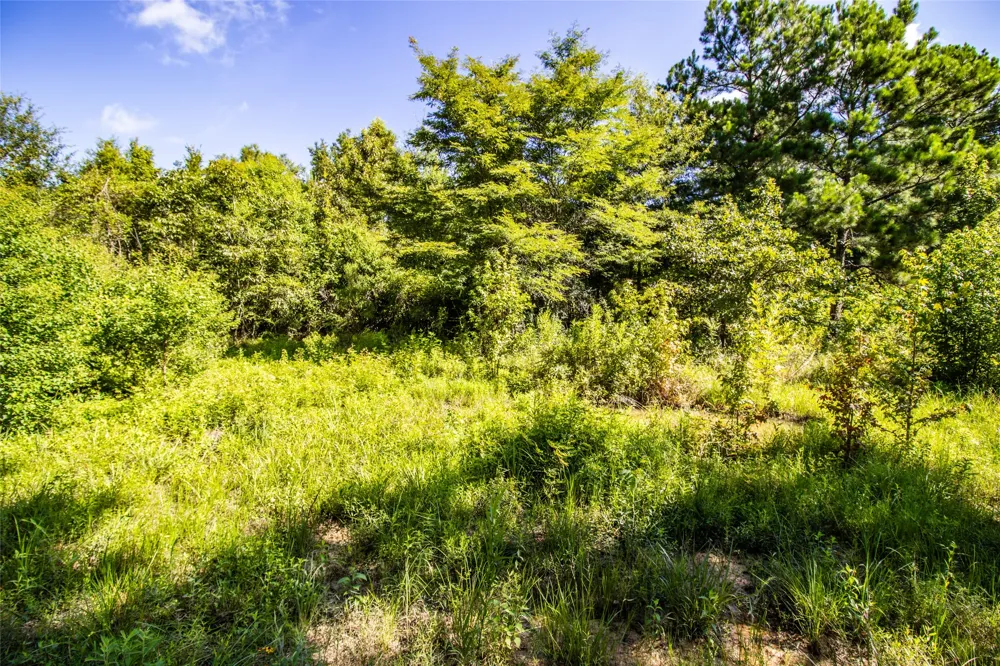 6572 S FM 31 Carthage, TX 75633
