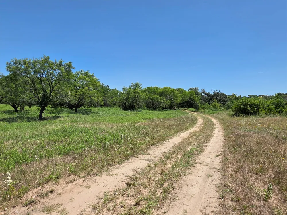 16695 County Road 421 Cross Plains, TX 76443