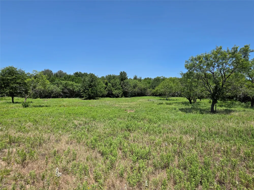 16695 County Road 421 Cross Plains, TX 76443