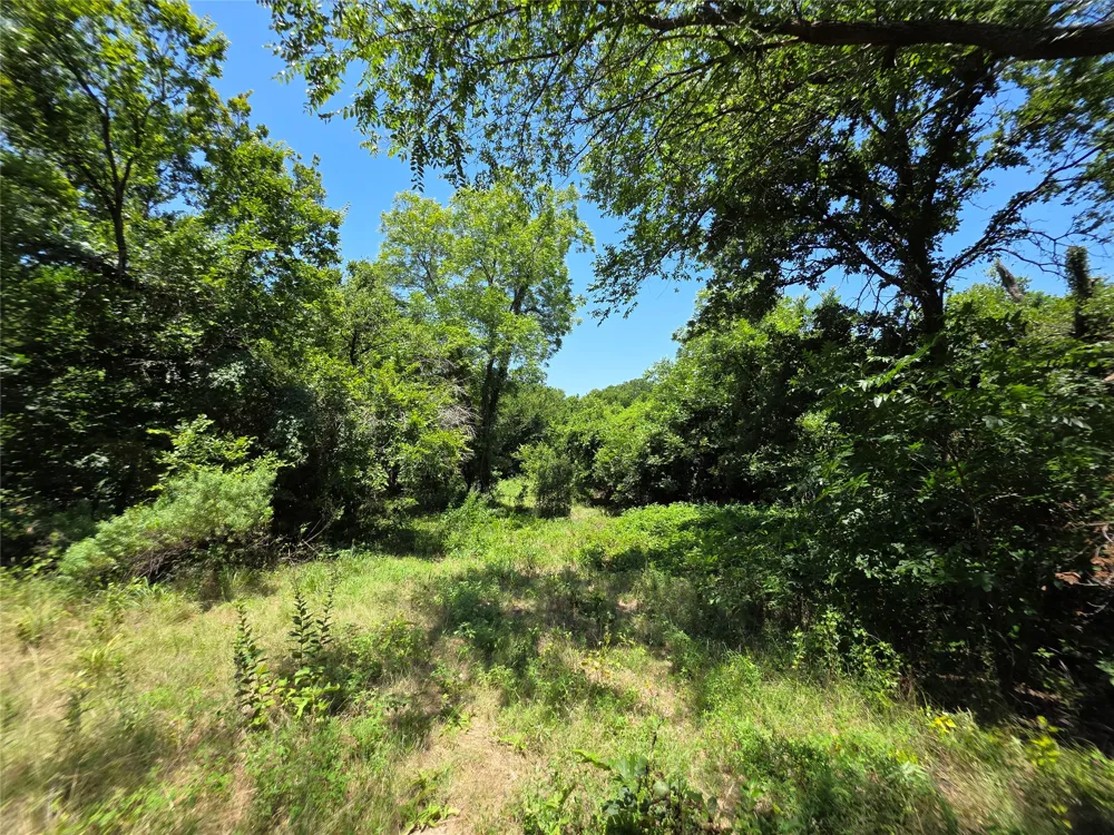 16695 County Road 421 Cross Plains, TX 76443