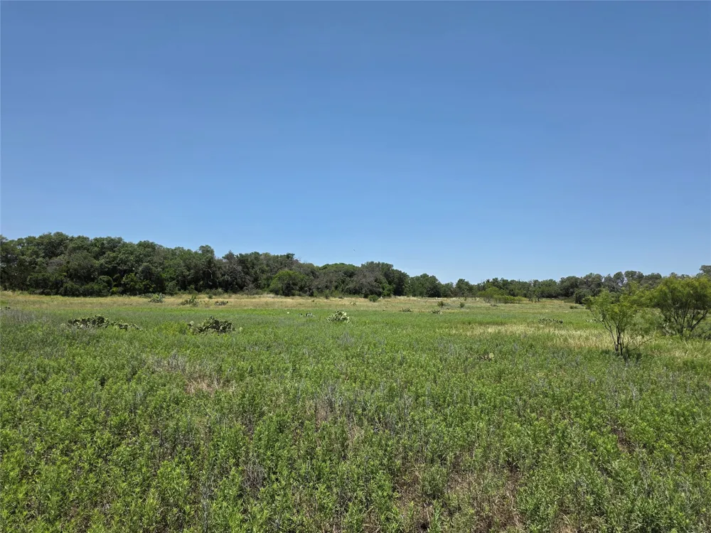 16695 County Road 421 Cross Plains, TX 76443