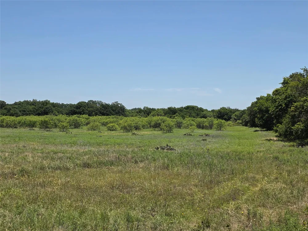 16695 County Road 421 Cross Plains, TX 76443