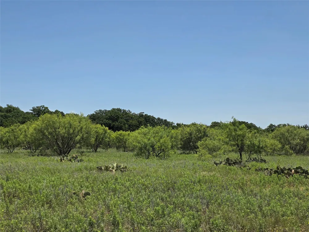 16695 County Road 421 Cross Plains, TX 76443