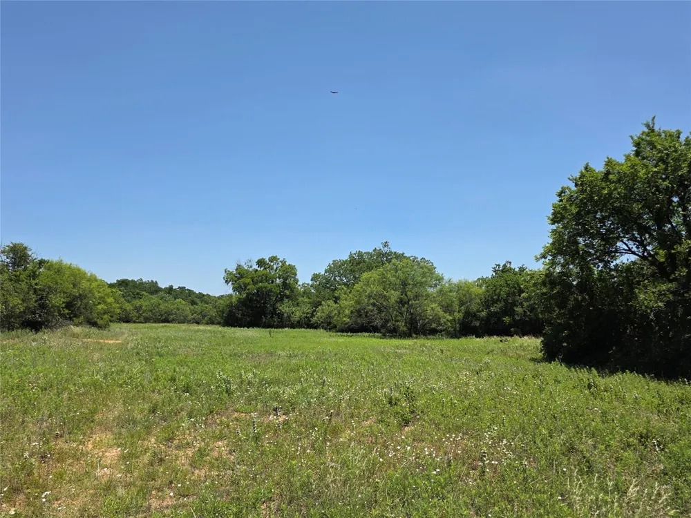 16695 County Road 421 Cross Plains, TX 76443