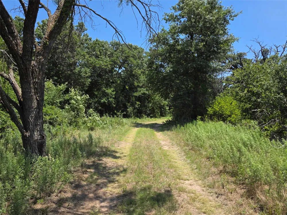 16695 County Road 421 Cross Plains, TX 76443