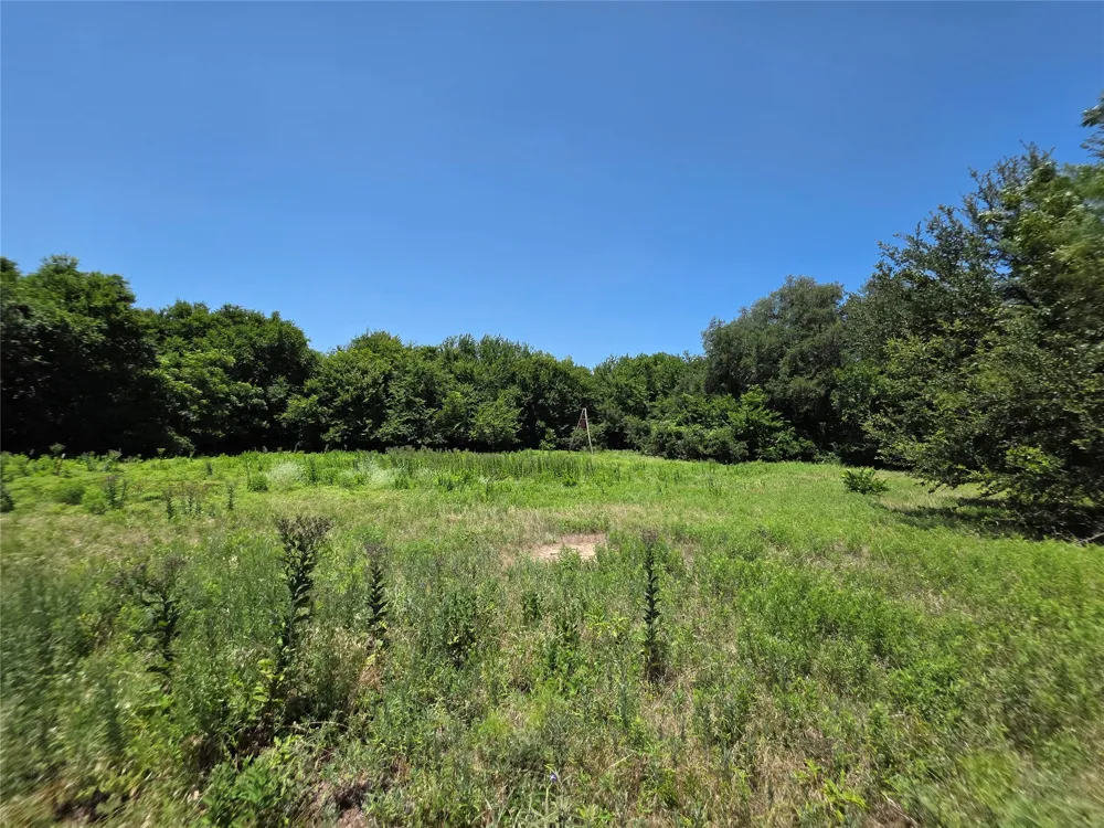 16695 County Road 421 Cross Plains, TX 76443