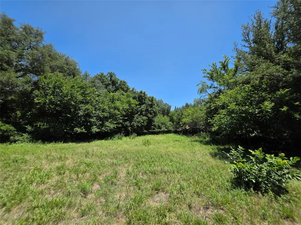 16695 County Road 421 Cross Plains, TX 76443