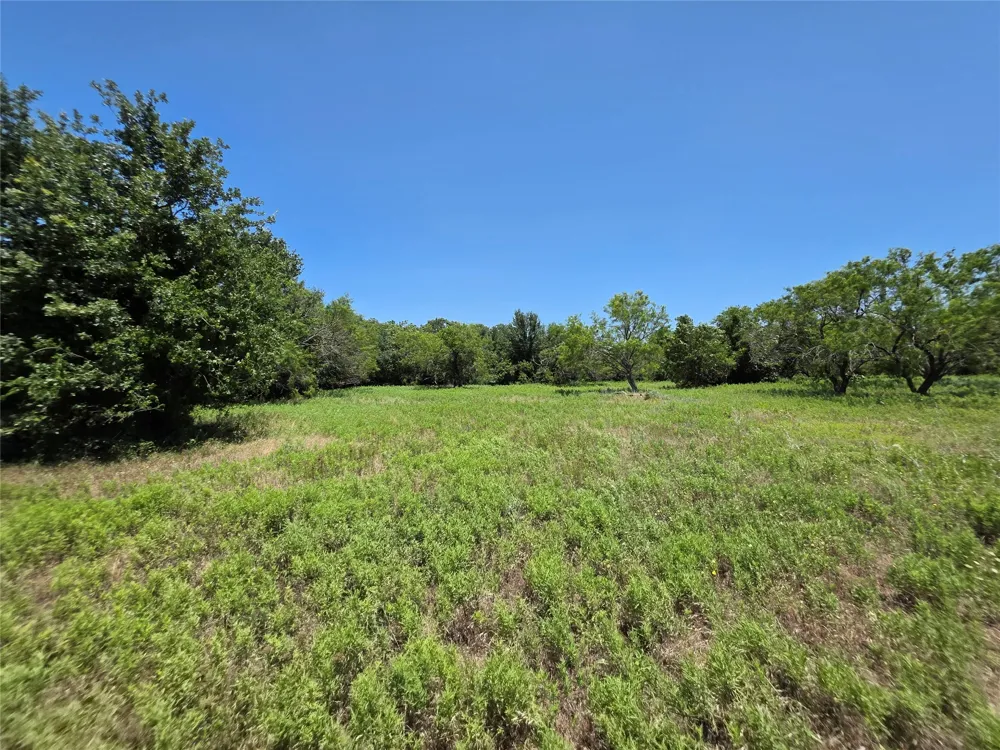 16695 County Road 421 Cross Plains, TX 76443
