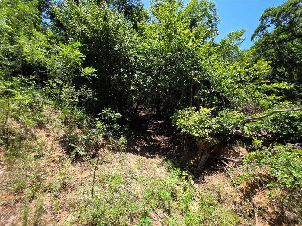16695 County Road 421 Cross Plains, TX 76443