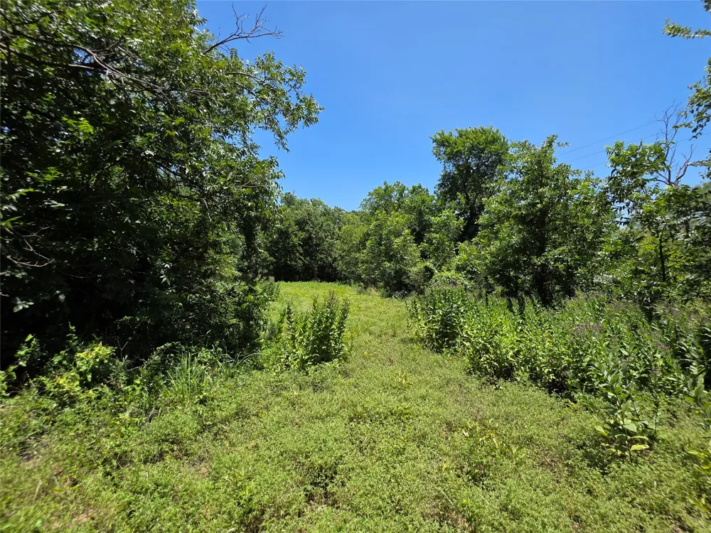 16695 County Road 421 Cross Plains, TX 76443