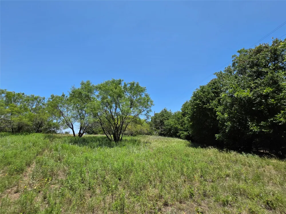 16695 County Road 421 Cross Plains, TX 76443