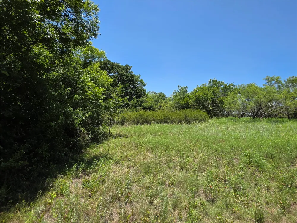 16695 County Road 421 Cross Plains, TX 76443