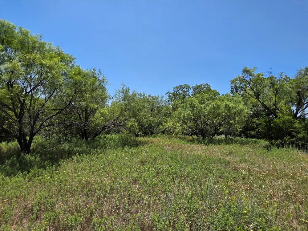 16695 County Road 421 Cross Plains, TX 76443