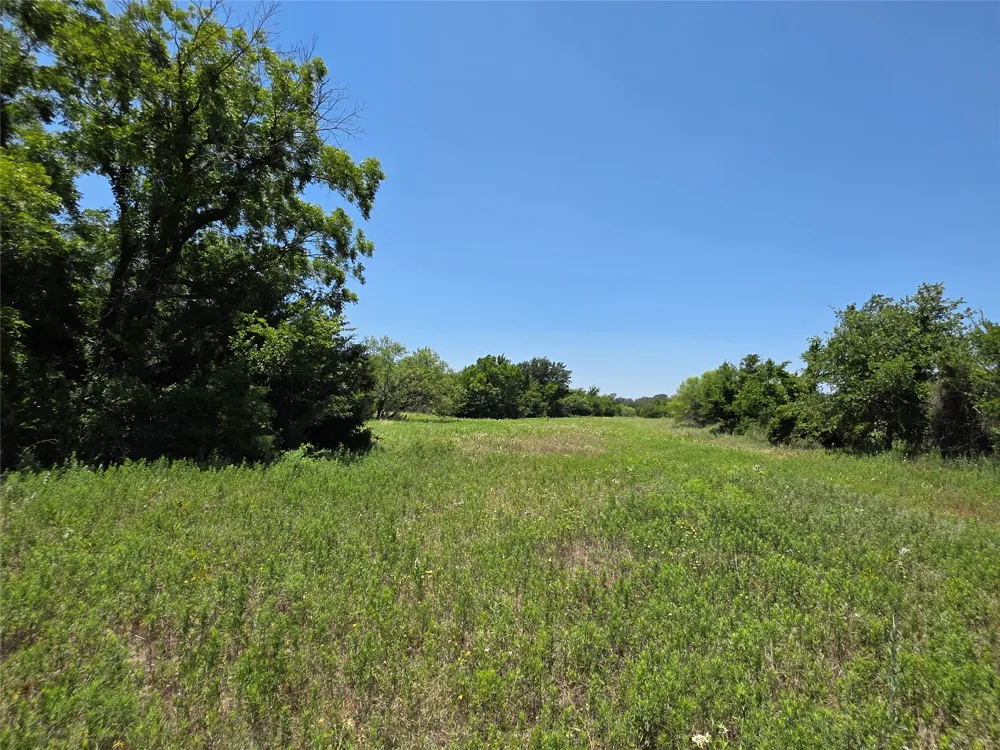 16695 County Road 421 Cross Plains, TX 76443