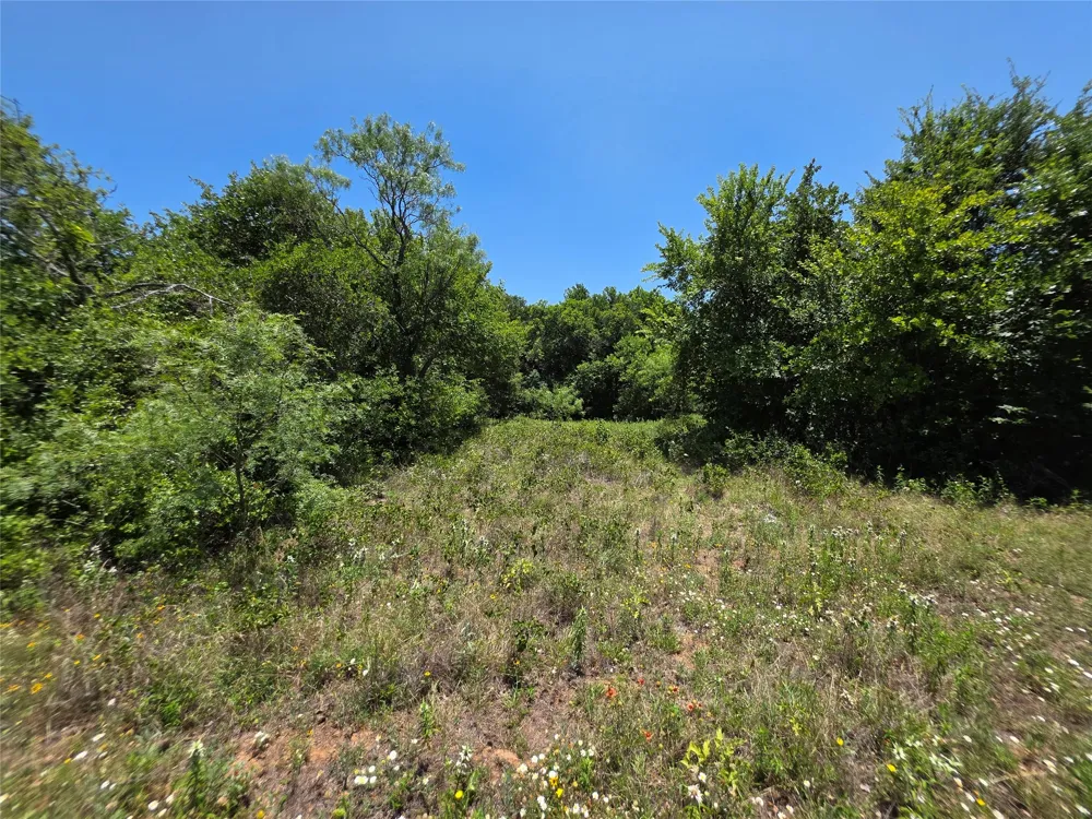16695 County Road 421 Cross Plains, TX 76443