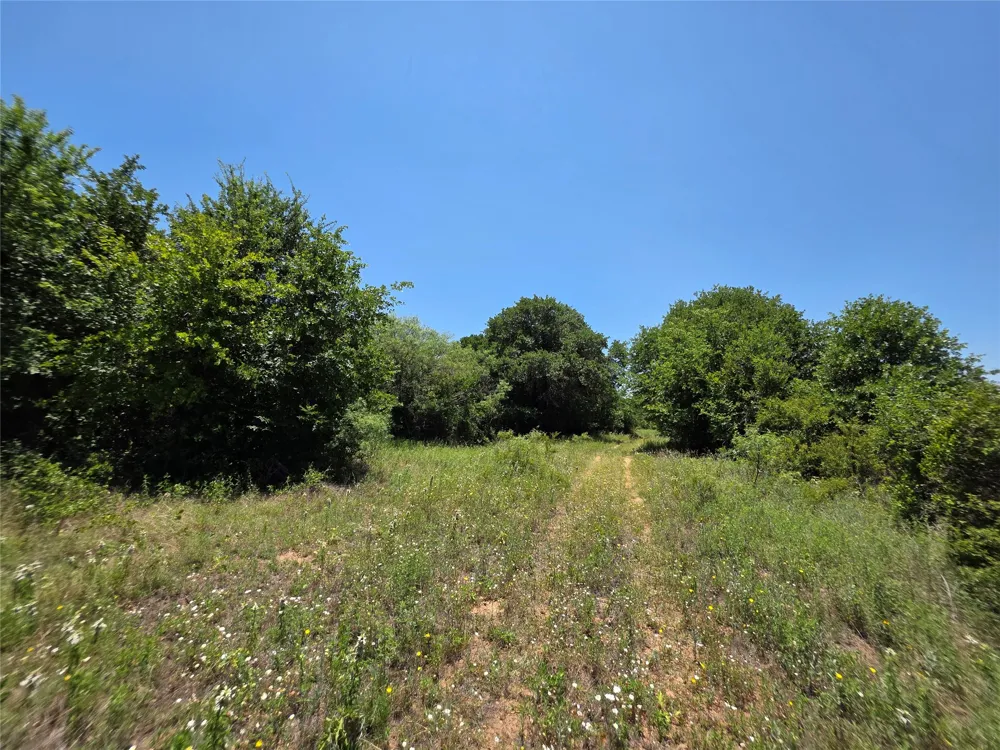 16695 County Road 421 Cross Plains, TX 76443