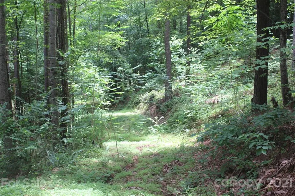 2202 Island View Lane NE #5 Connelly Springs, NC 28612