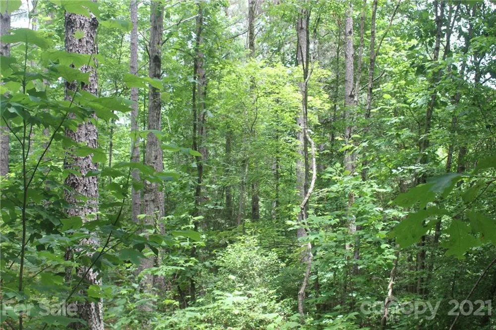 2202 Island View Lane NE #5 Connelly Springs, NC 28612