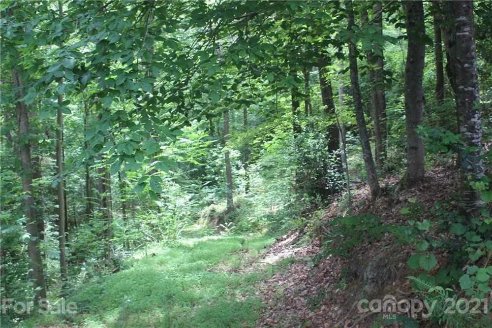 2202 Island View Lane NE #5 Connelly Springs, NC 28612