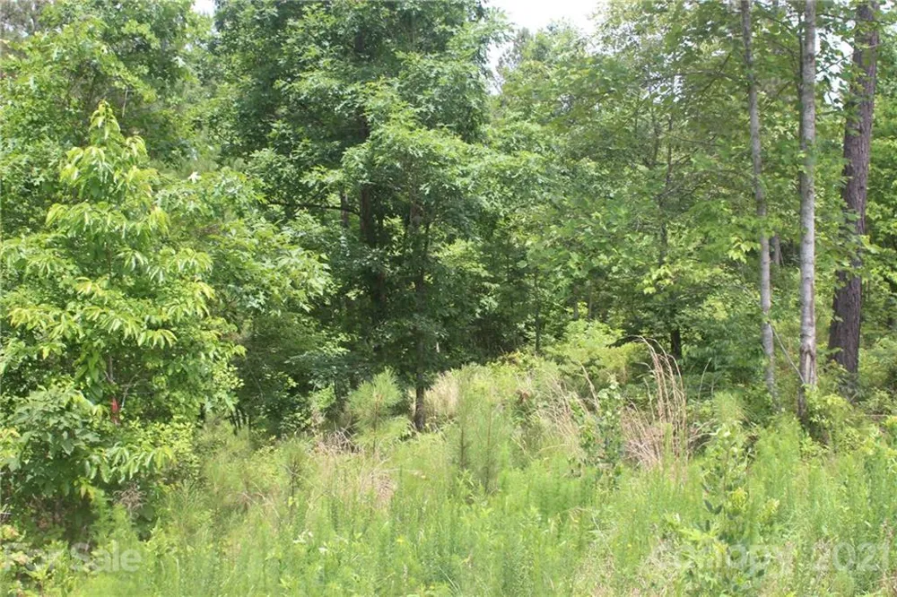 1826 Lake Vista Drive NE #2 Connelly Springs, NC 28612