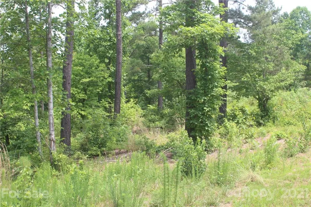 1826 Lake Vista Drive NE #2 Connelly Springs, NC 28612