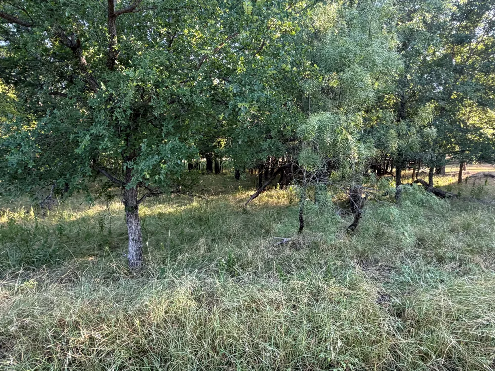 Cypress Drive May, TX 76857