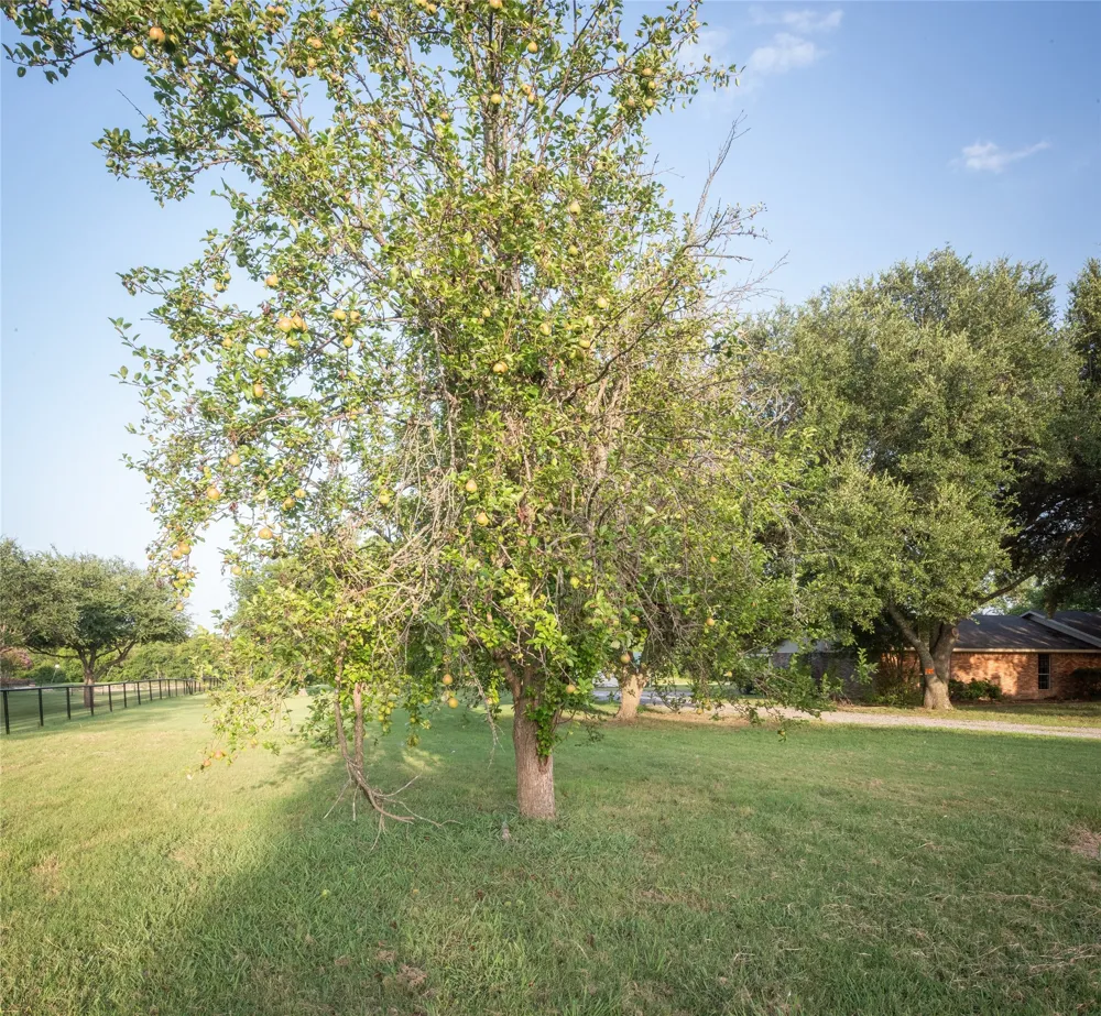 1850 Rock Ridge Road Lucas, TX 75002