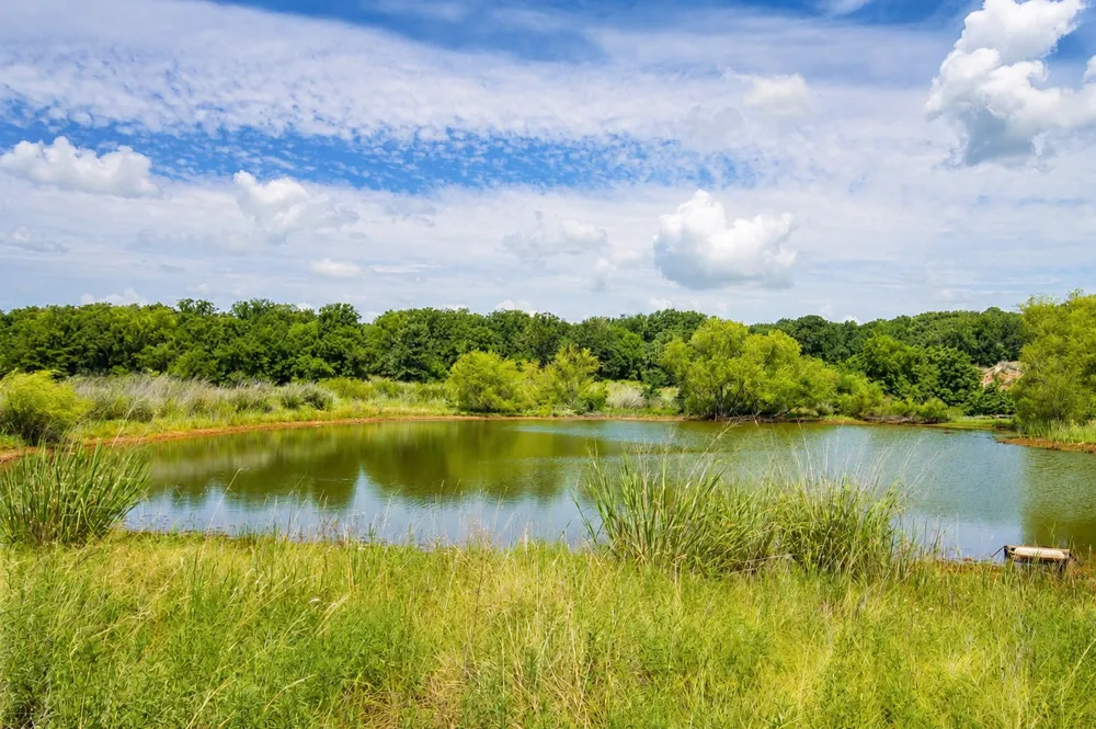 6108 Cottonwood Creek Road St Jo, TX 76265