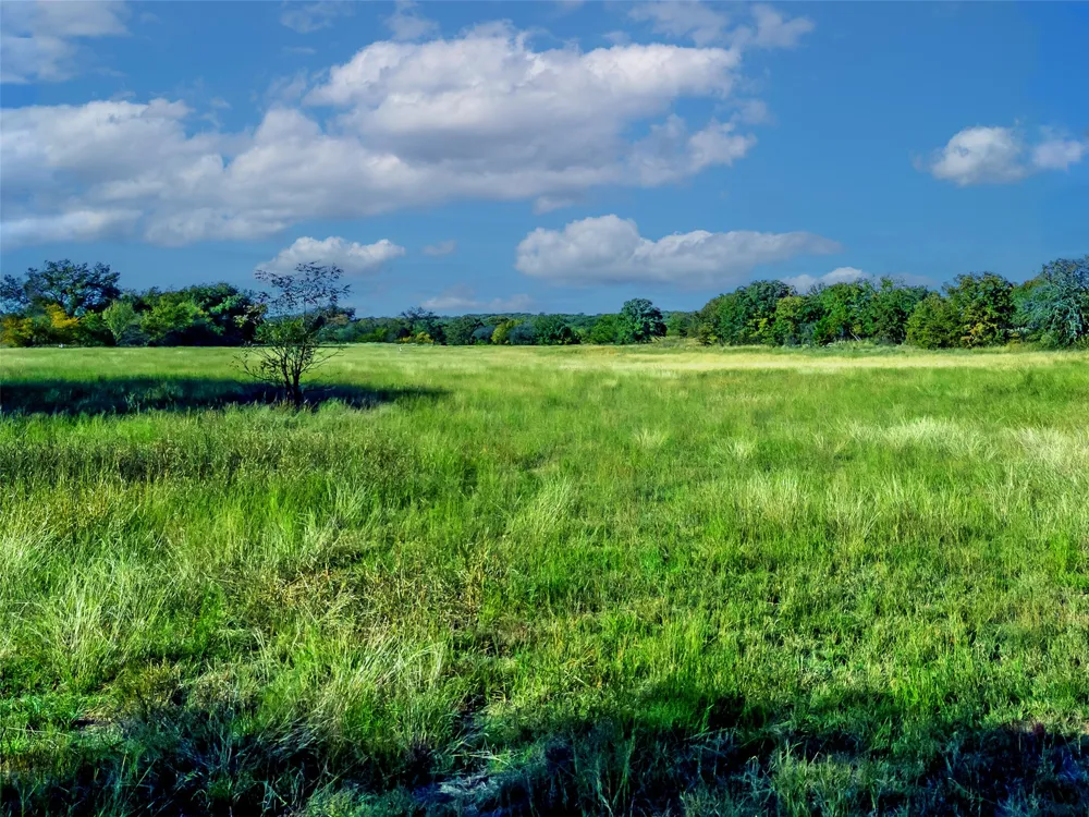 6108 Cottonwood Creek Road St Jo, TX 76265