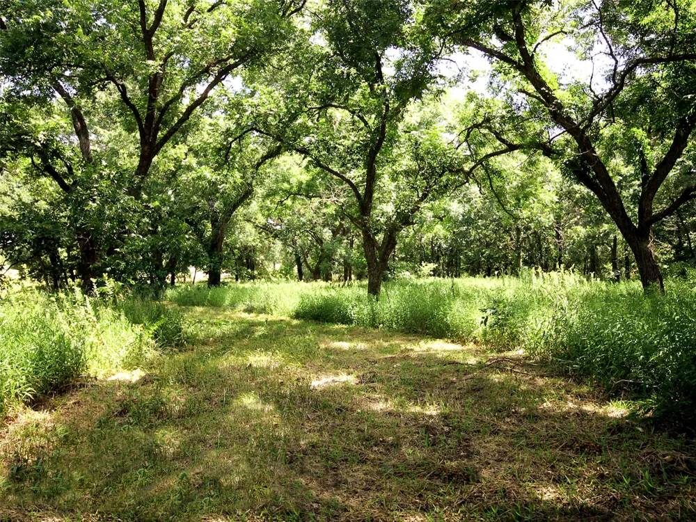 6108 Cottonwood Creek Road St Jo, TX 76265