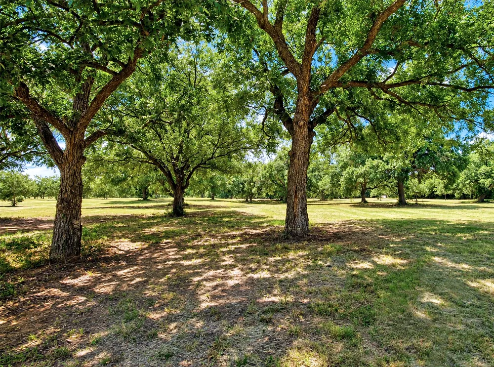 6108 Cottonwood Creek Road St Jo, TX 76265