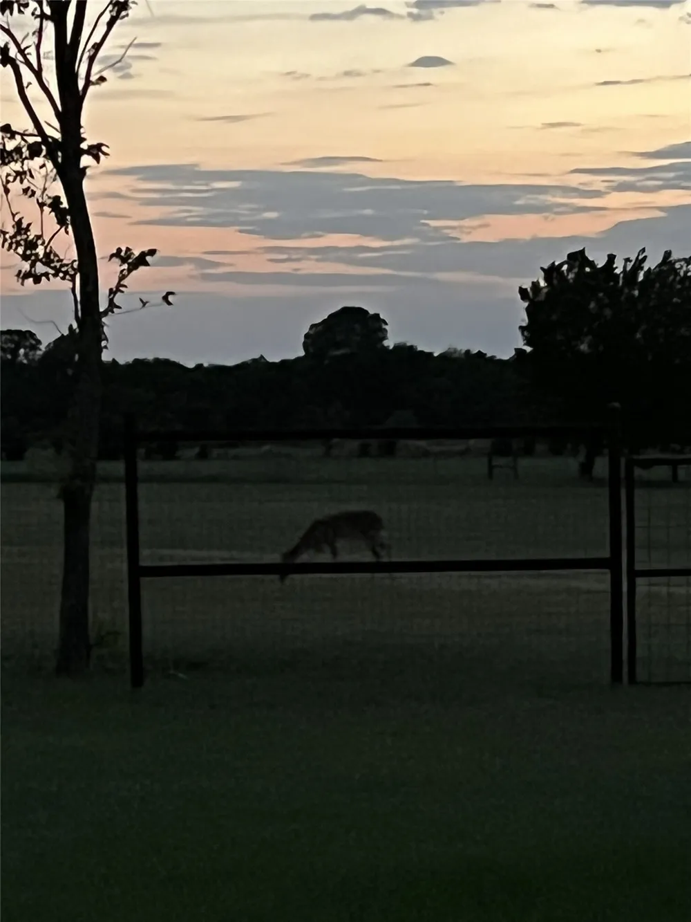 716 County Road 3241 Paradise, TX 76073