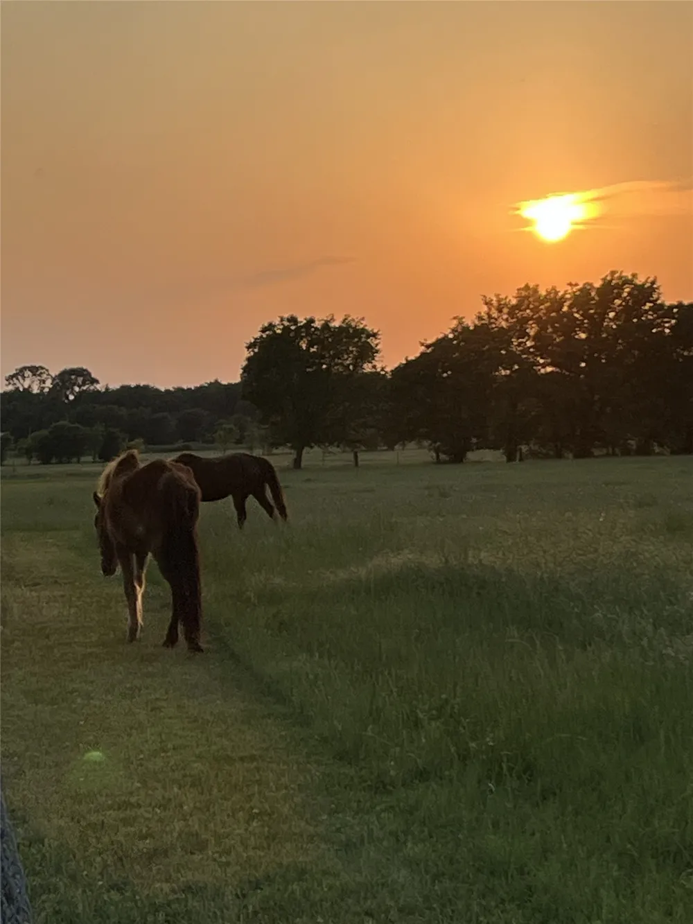 716 County Road 3241 Paradise, TX 76073