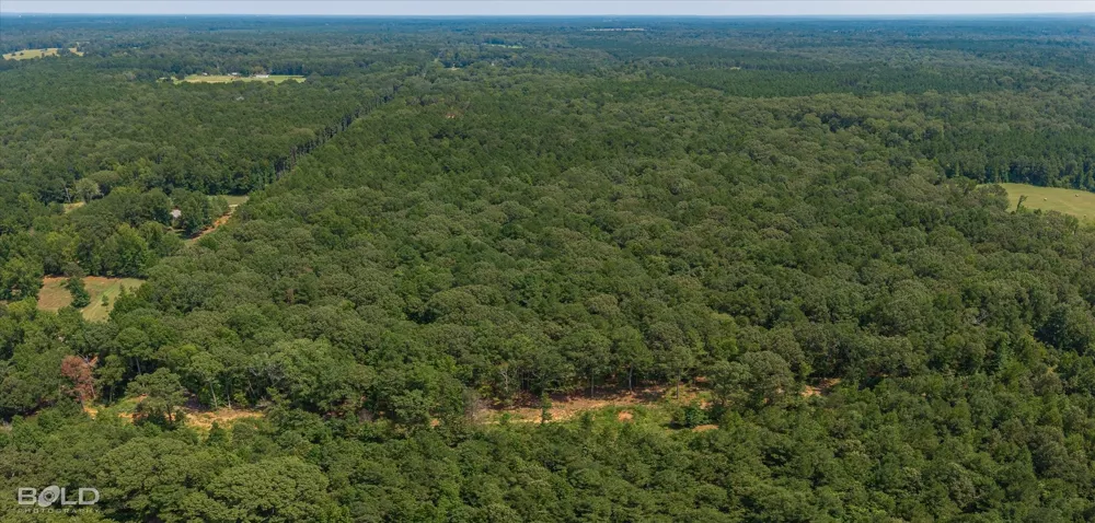 1244 Oliver Road Haughton, LA 71037