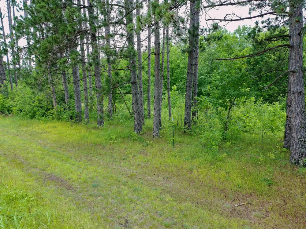 TBD-2 Riverside Road Moose Lake, MN 55767