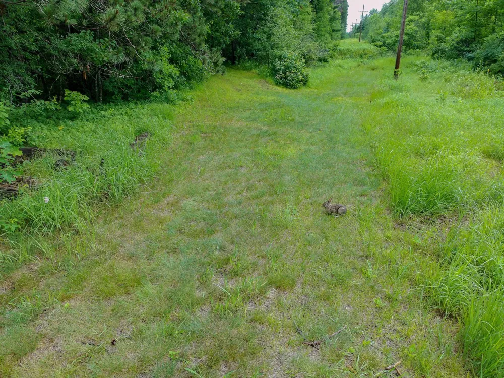 TBD-2 Riverside Road Moose Lake, MN 55767