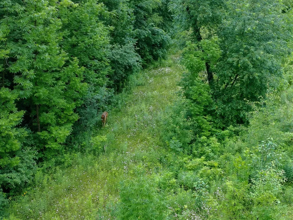 TBD-2 Riverside Road Moose Lake, MN 55767