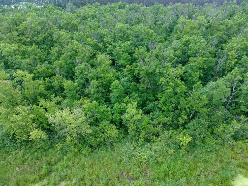 TBD-2 Riverside Road Moose Lake, MN 55767