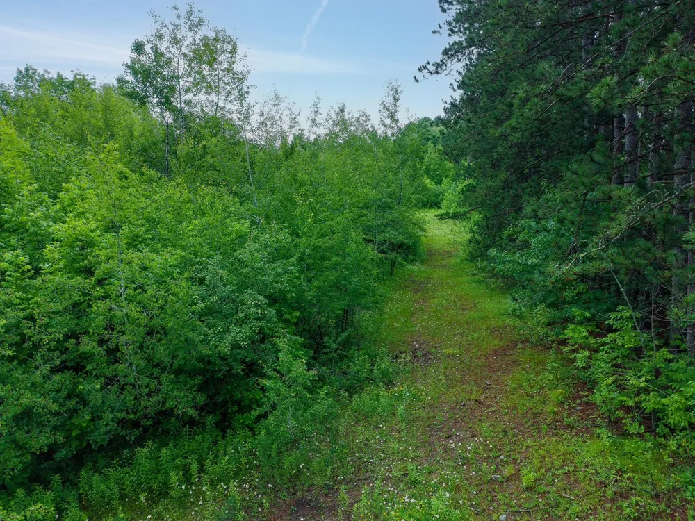 TBD-2 Riverside Road Moose Lake, MN 55767